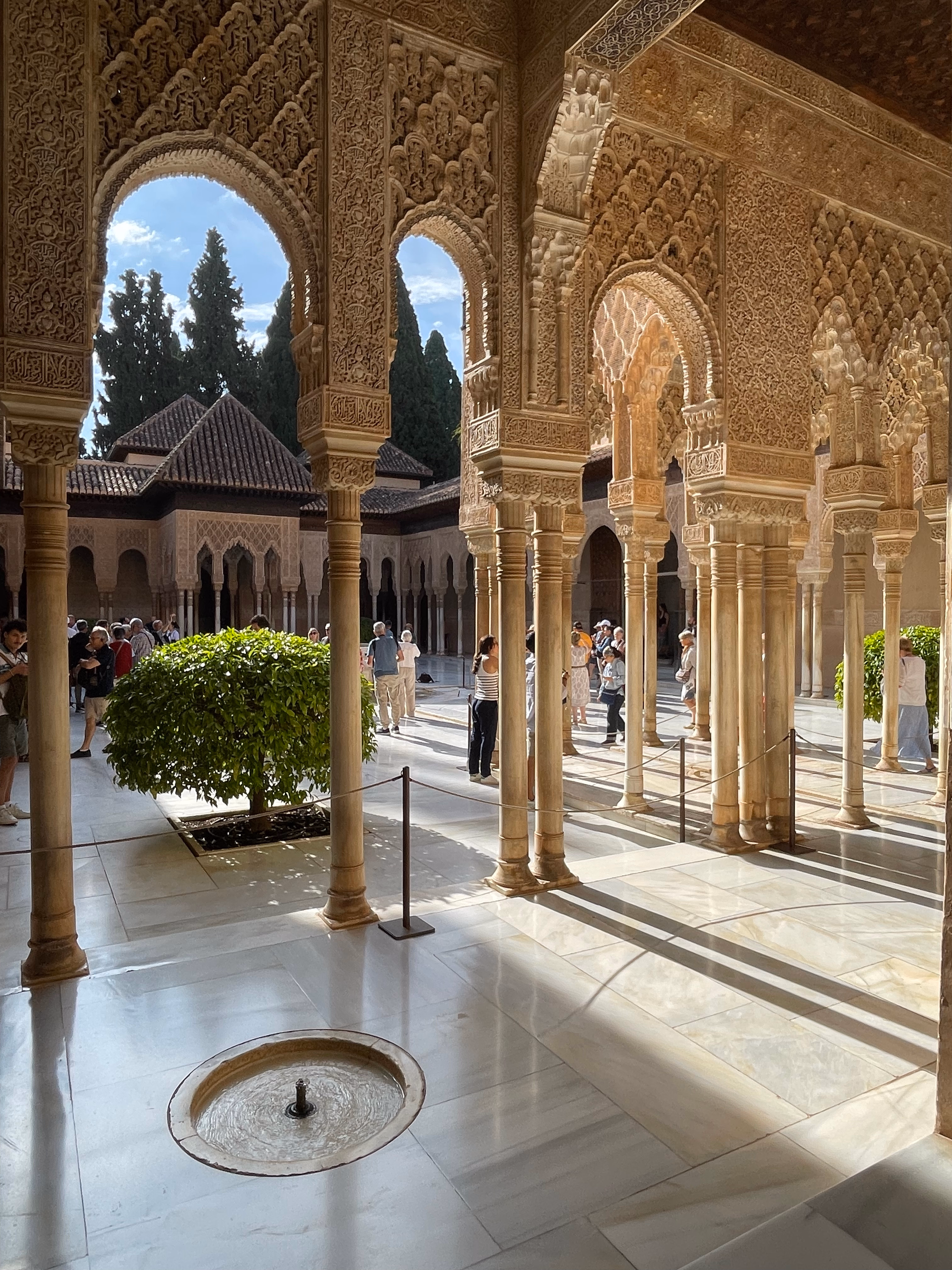 Carved stucco arches in the Court of the Lions, sunlight falling across marble floors and clipped hedges.