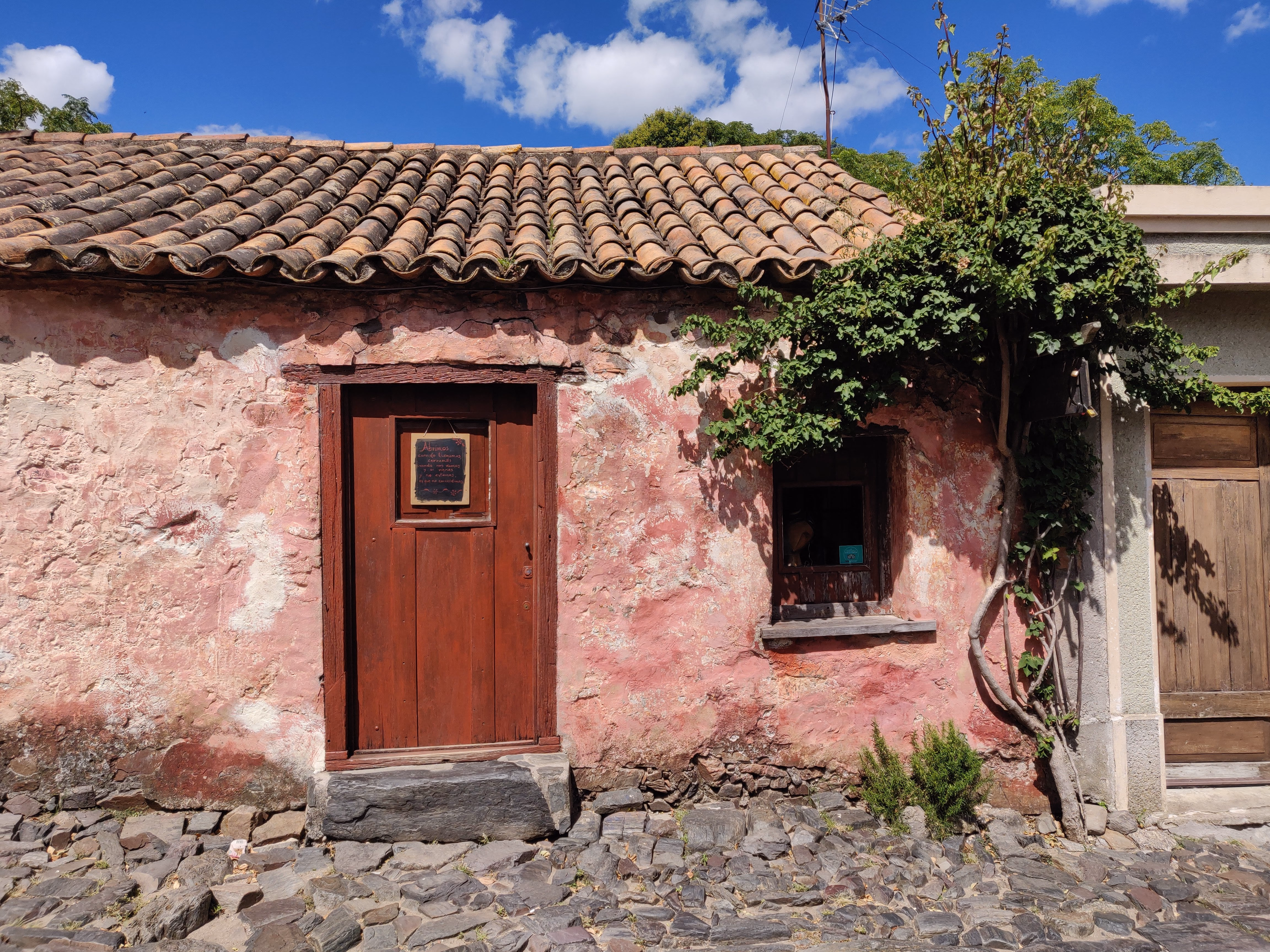 Weathered pink plaster peeling from stone — a red wooden door with a glass pane, terracotta roof tiles and a vine climbing over the window.