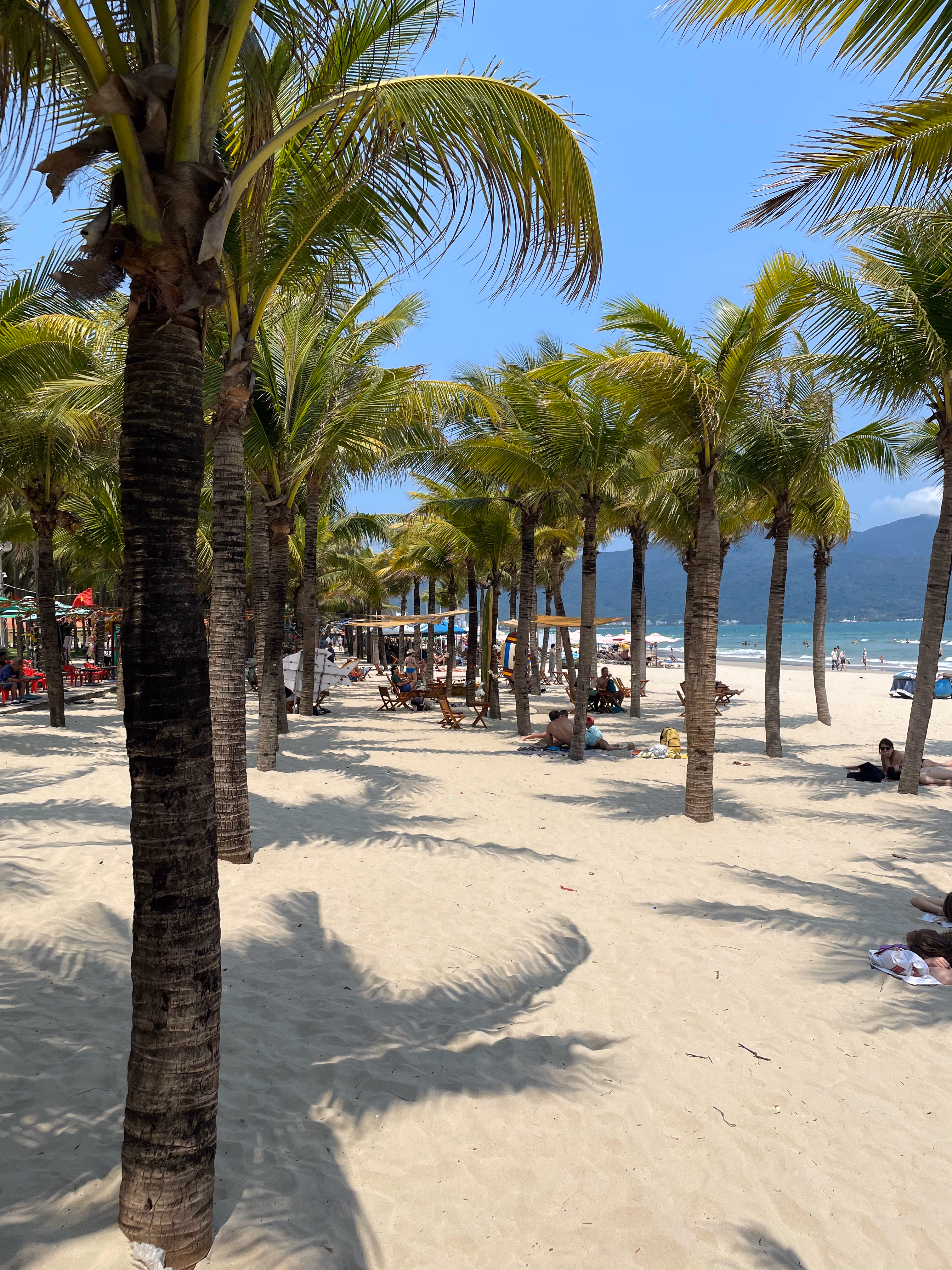 Palm grove opening onto Da Nang beach and the sea.