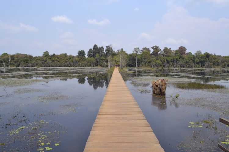 Walkway over the pond