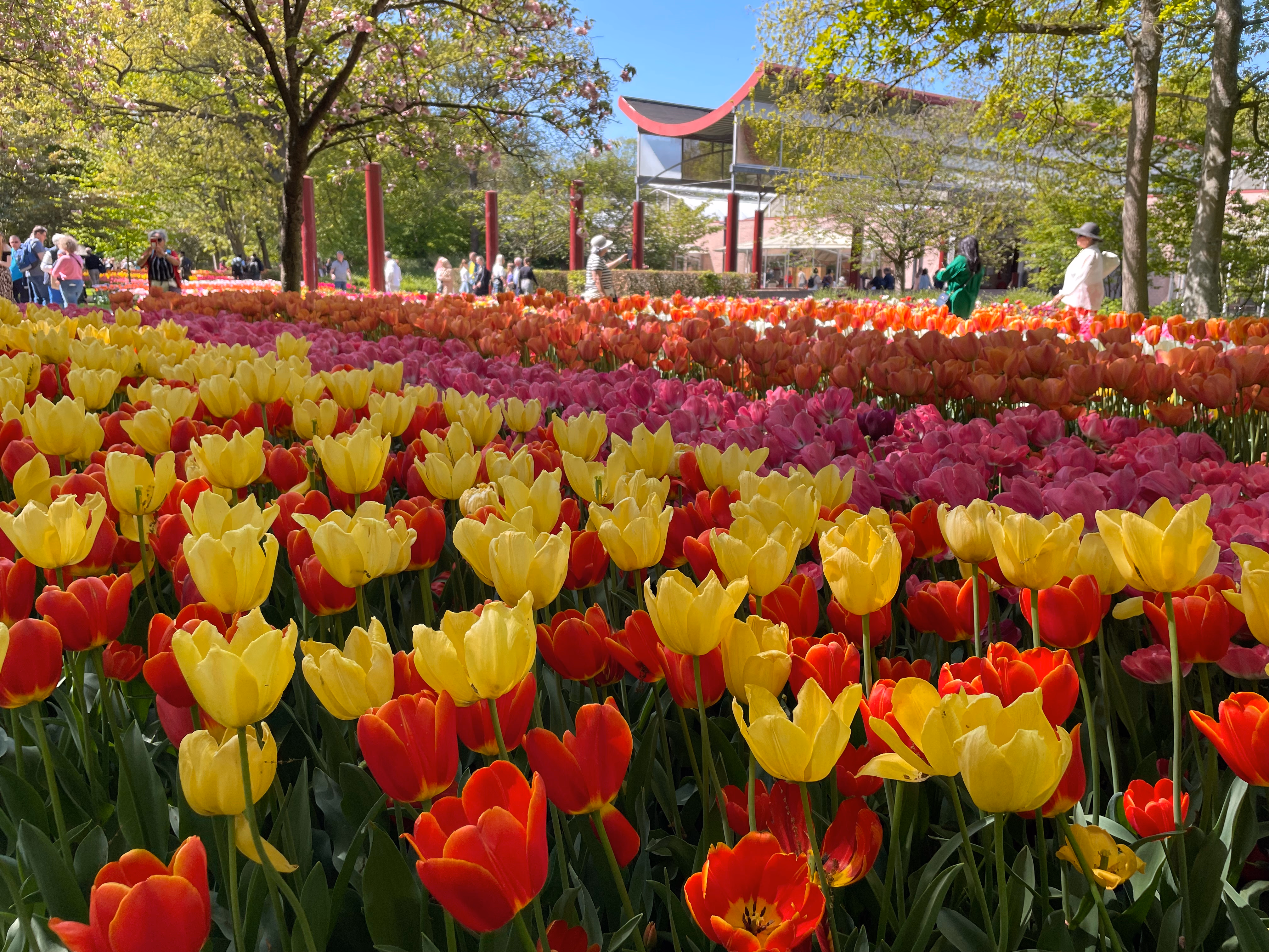 Horizontal bands of yellow, red, magenta and orange tulips — crowds on the path behind, a glass pavilion with a curved red roof rising above the trees.