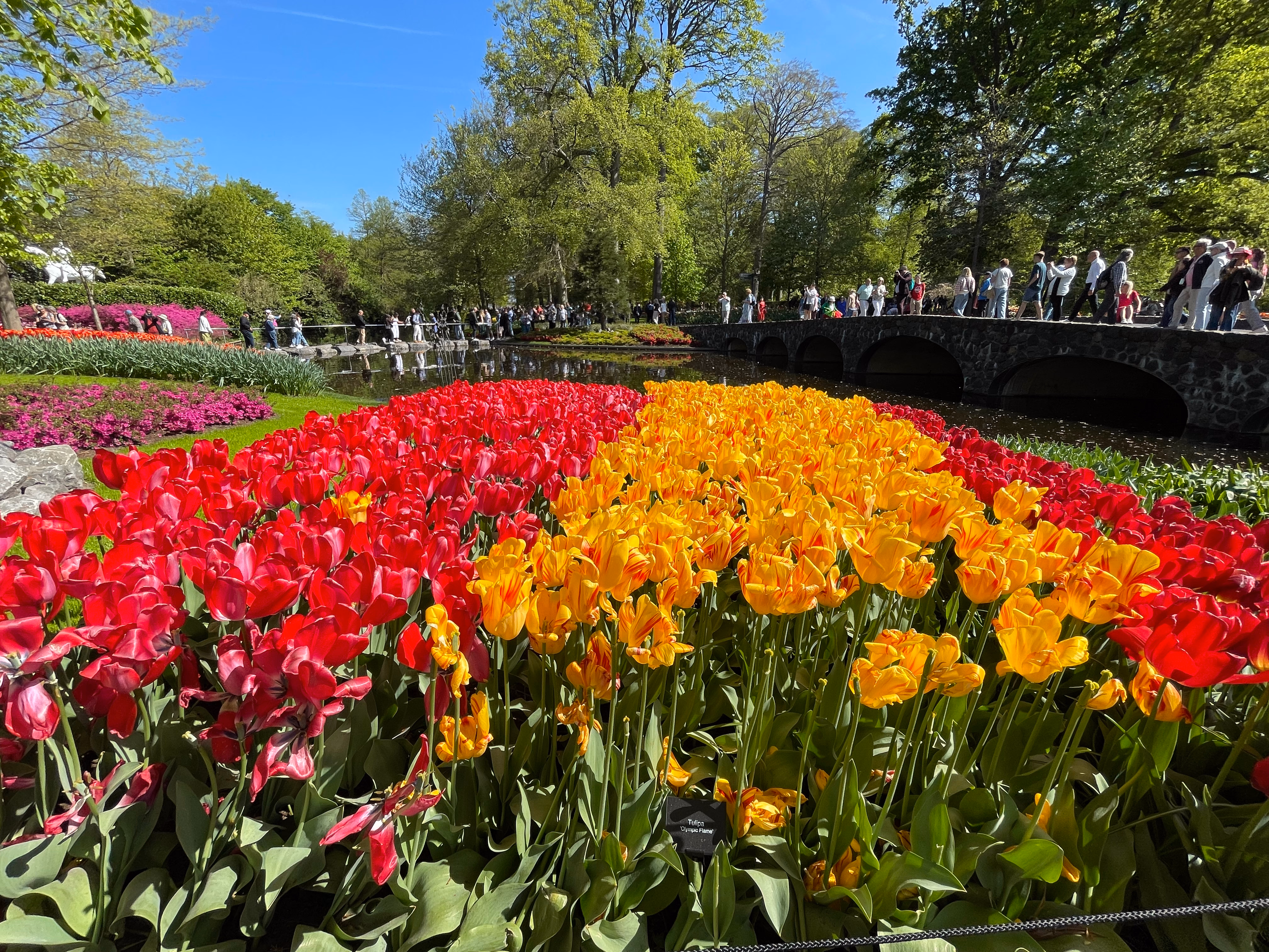 Red and yellow tulip stripes in the foreground — a dark pond reflecting the trees, a stone arched bridge crowded with visitors crossing to the far bank.