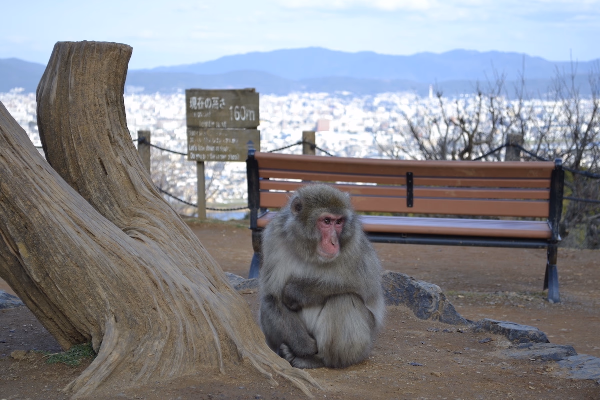 Arashiyama, Kyoto