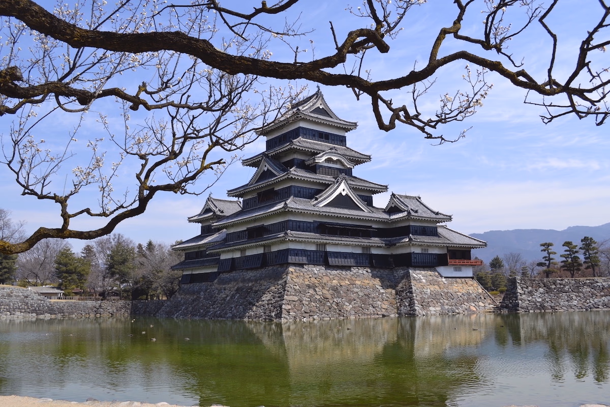 Touring Japan during sakura