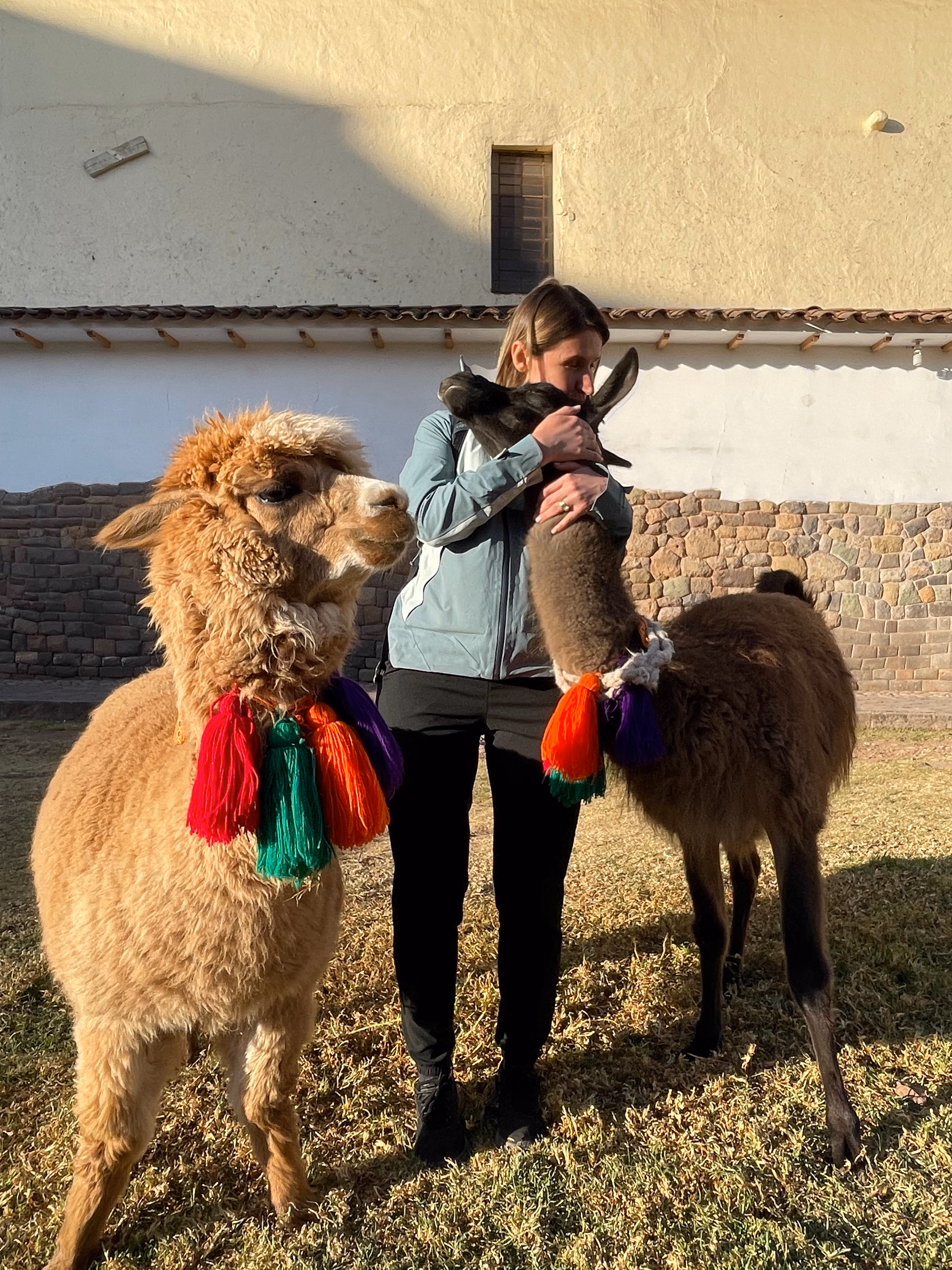 Mela with alpacas in Peru