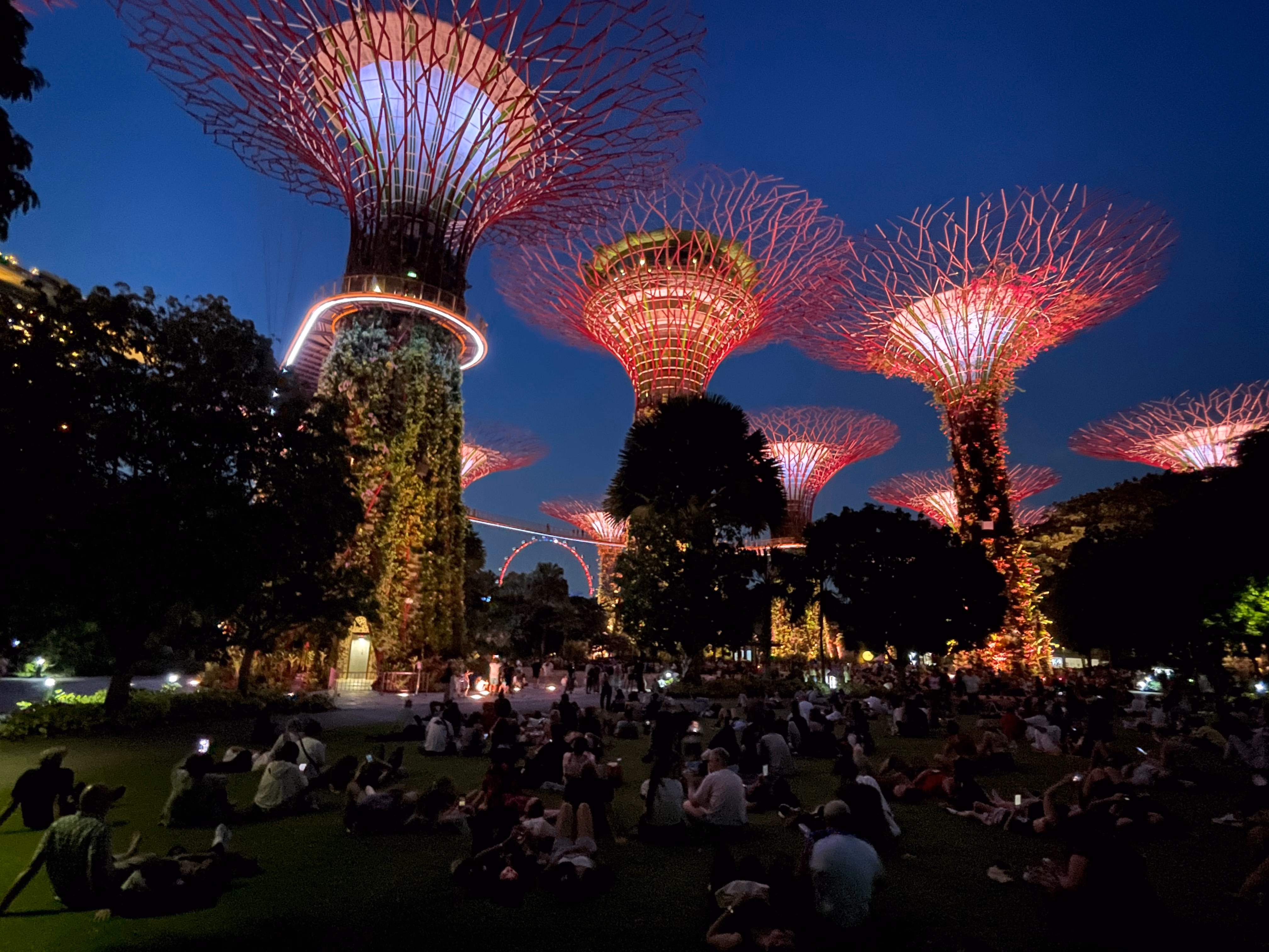 Crowds on the lawn for Garden Rhapsody โ the Supertrees washed in pink and red, the OCBC Skyway stretching between them.