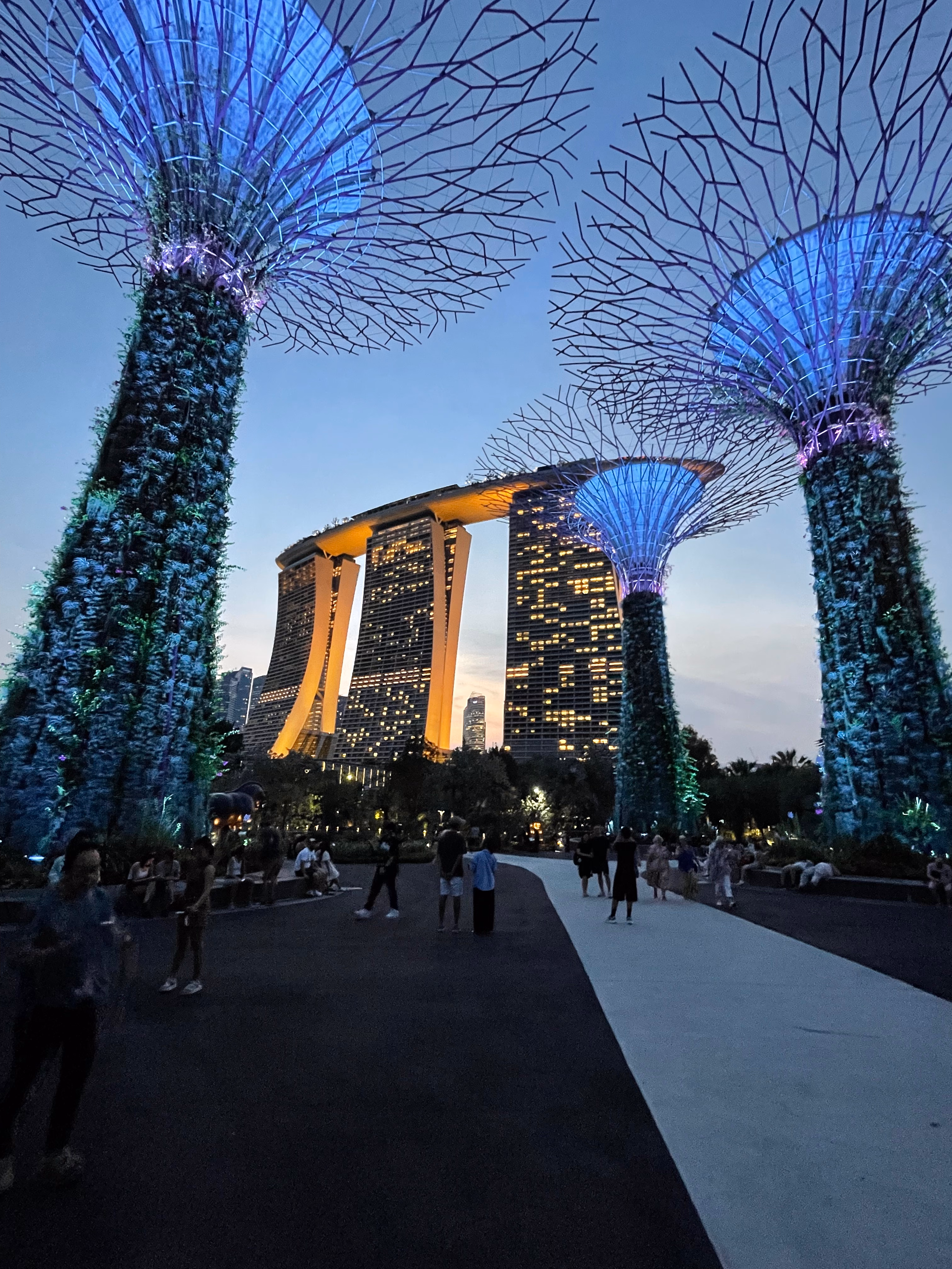 Blue and purple Supertrees framing the three towers of Marina Bay Sands โ the SkyPark lit above a dark walkway through the grove.