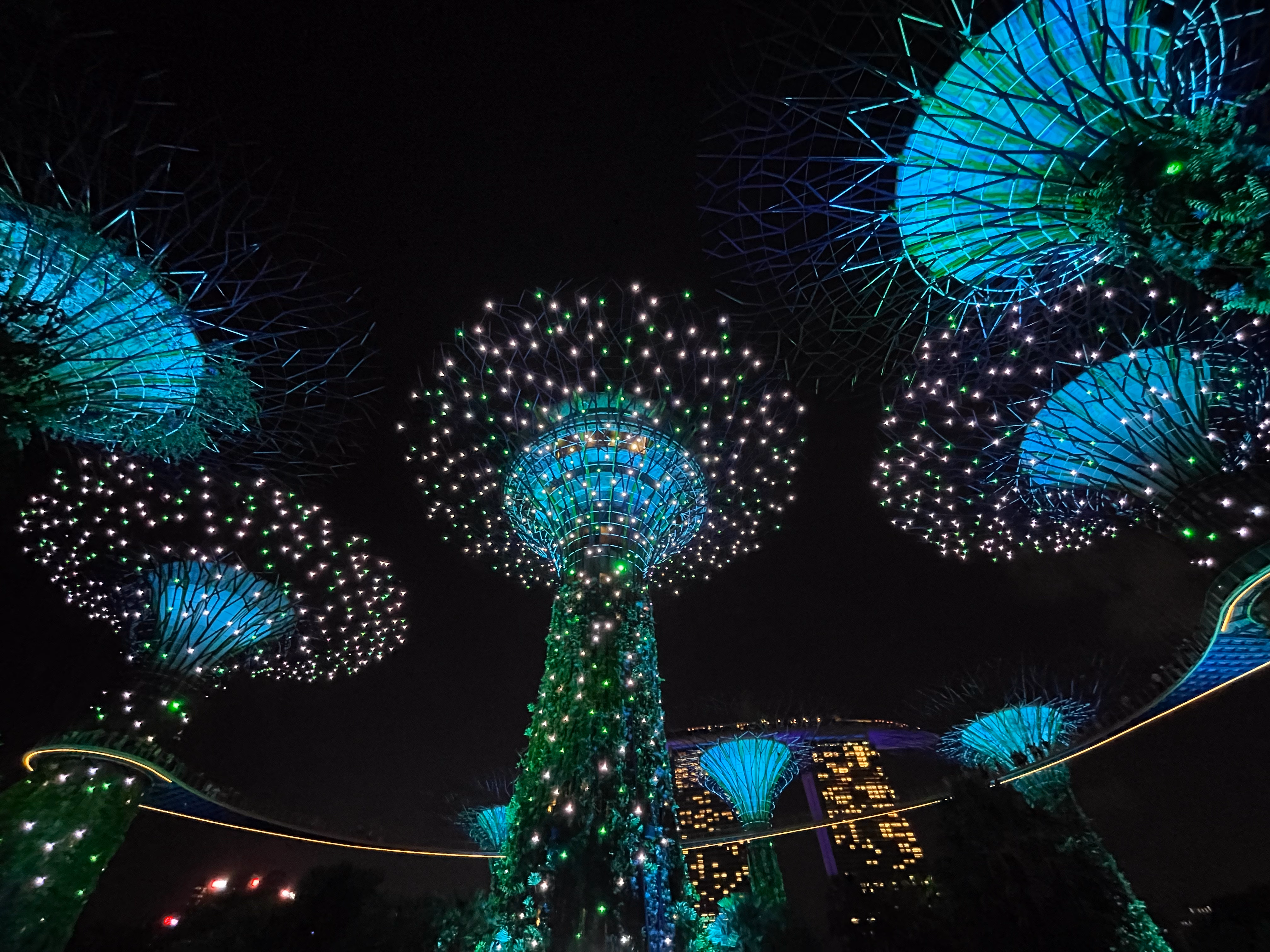 Looking up through the Supertree Grove โ cyan canopies, a lit skyway between the trunks, and Marina Bay Sands glowing through the gaps.
