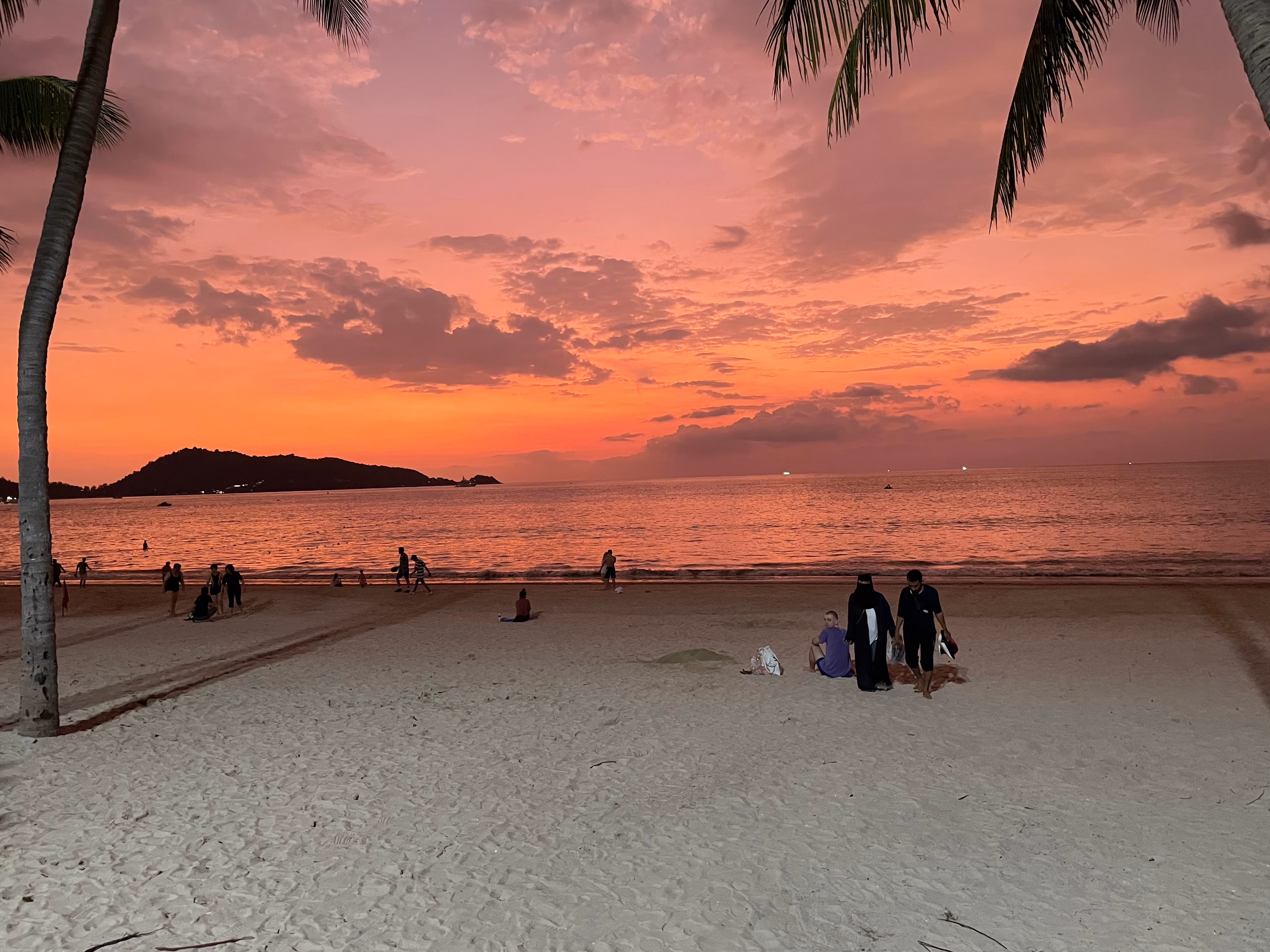 Sandy beach with palm trees in Patong at sunset.