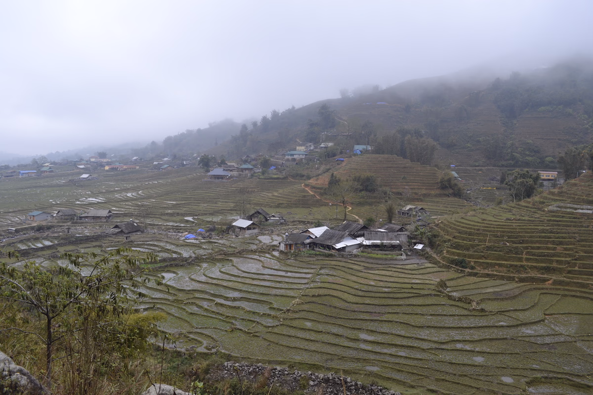 Rice terraces near Ta Van village.