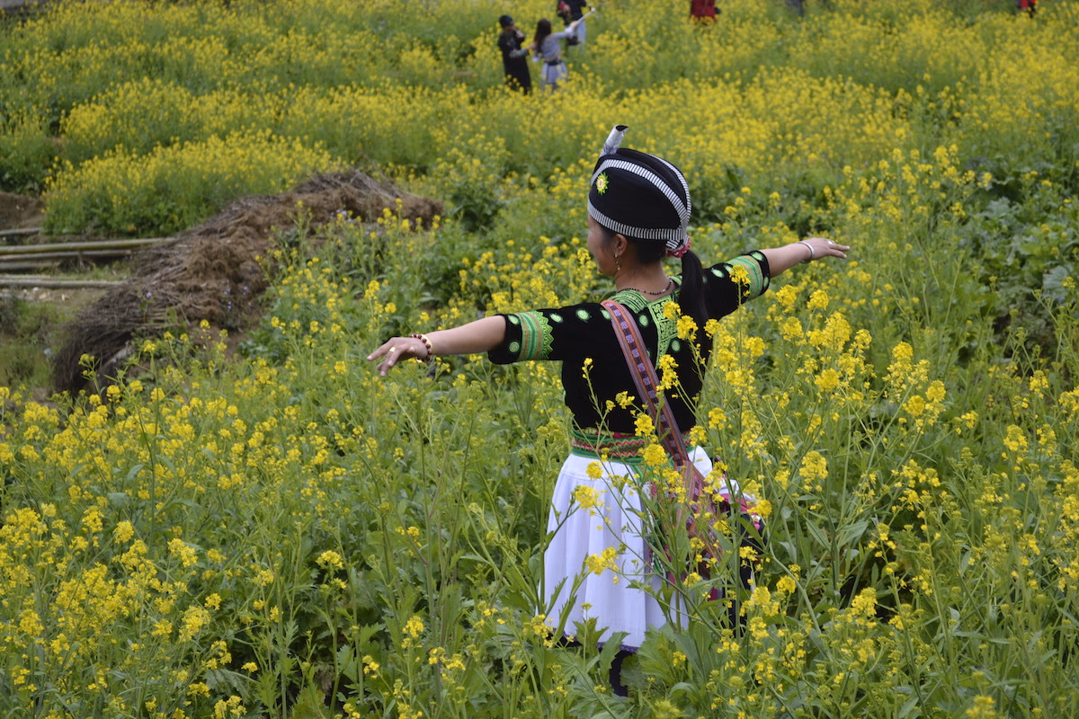 Traditional colors blending with the fields.