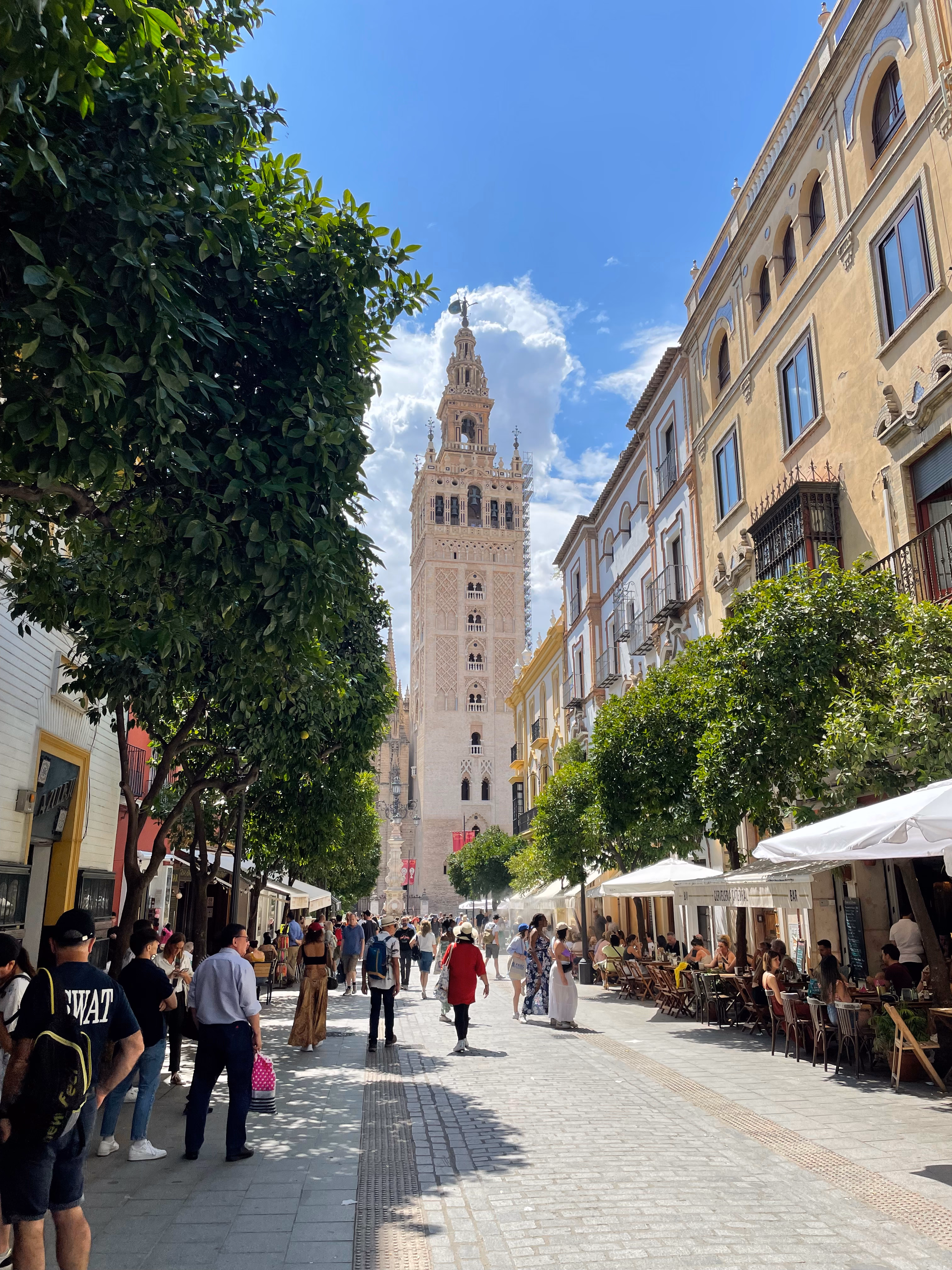 Orange trees and café terraces on a pedestrian street, with the Giralda rising at the end of the view.