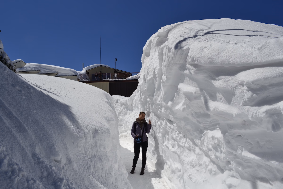 Huge snow wall on the side of the walking path