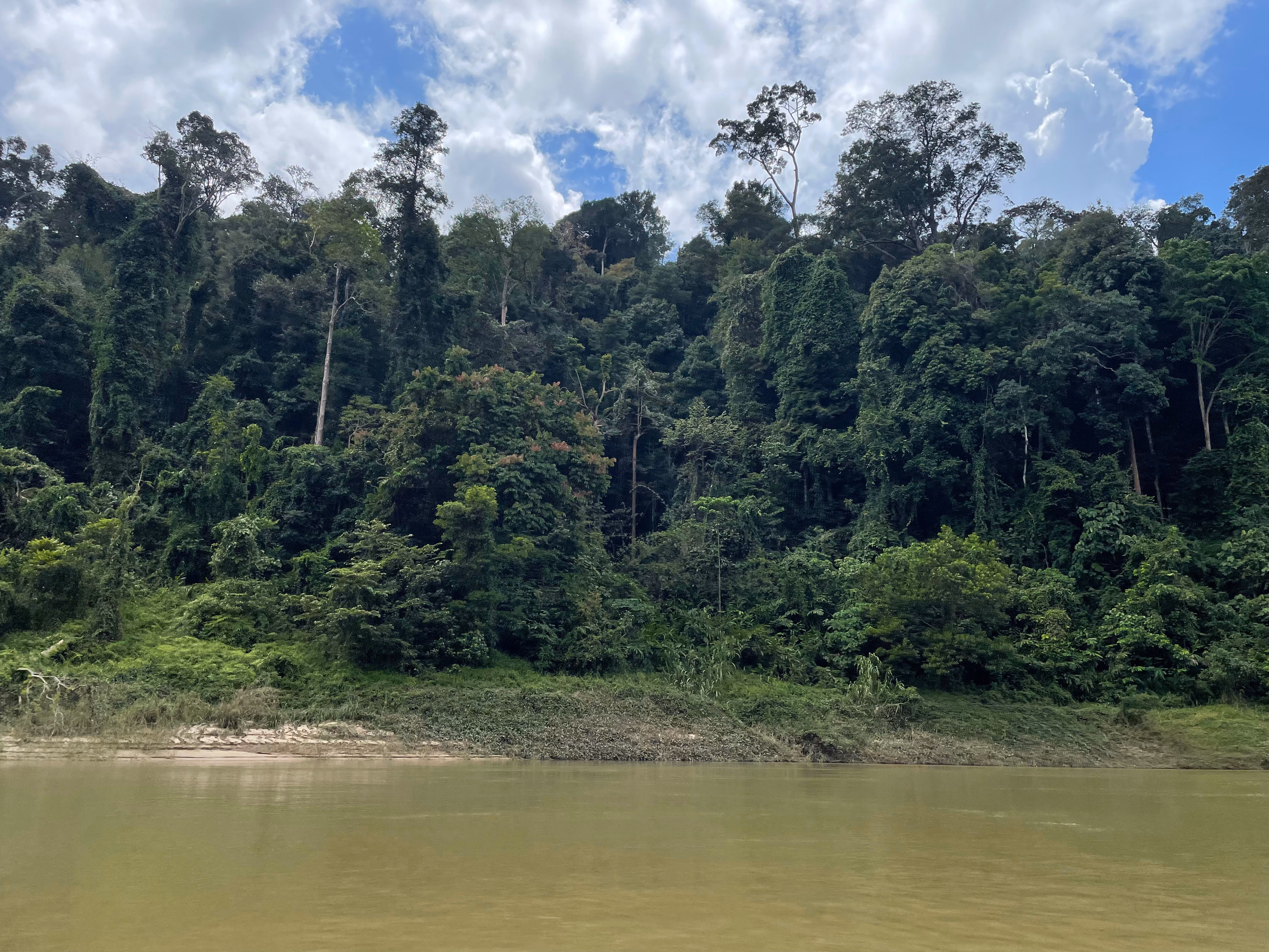 Cruising up and down the river in Taman Negara.