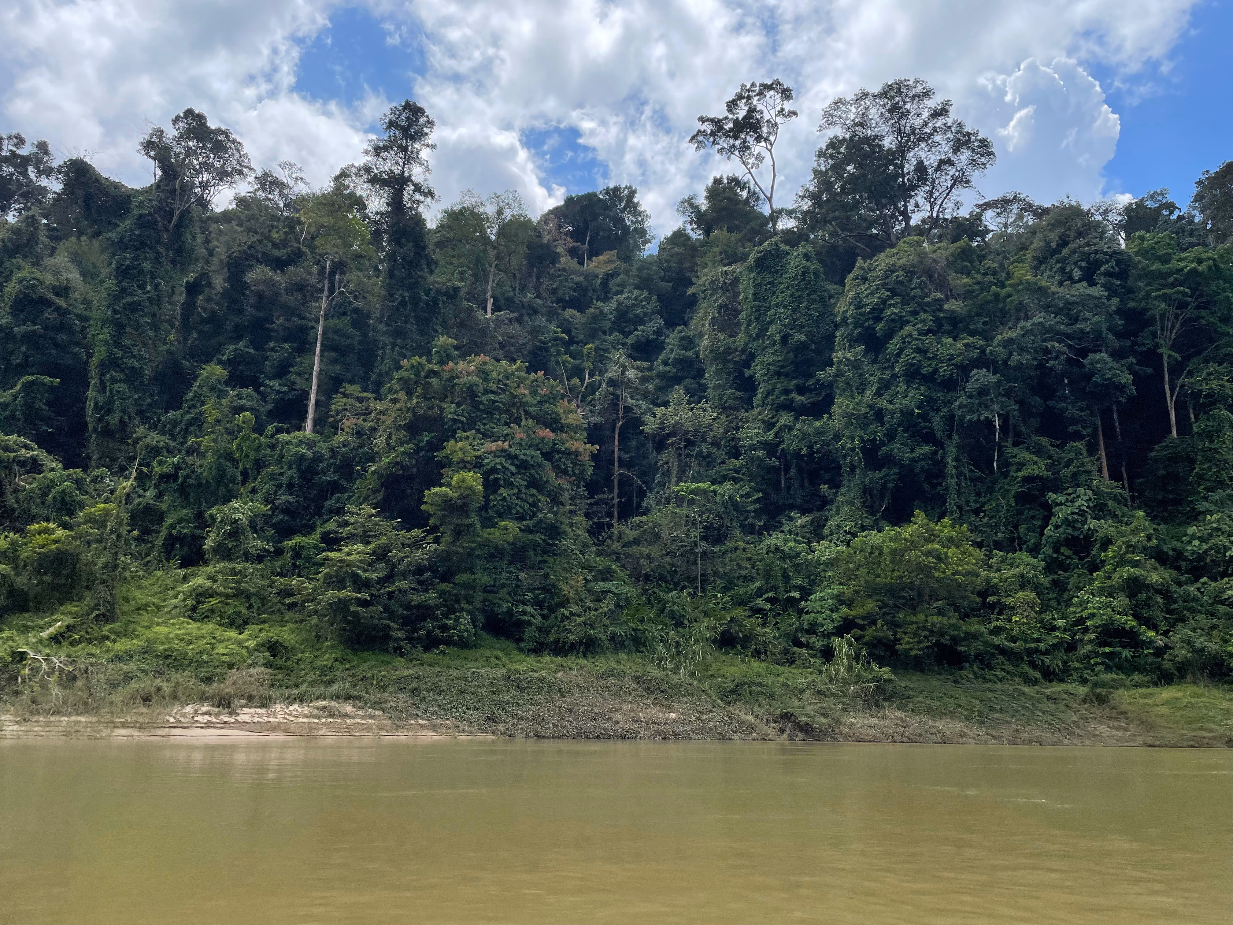 Taman Negara