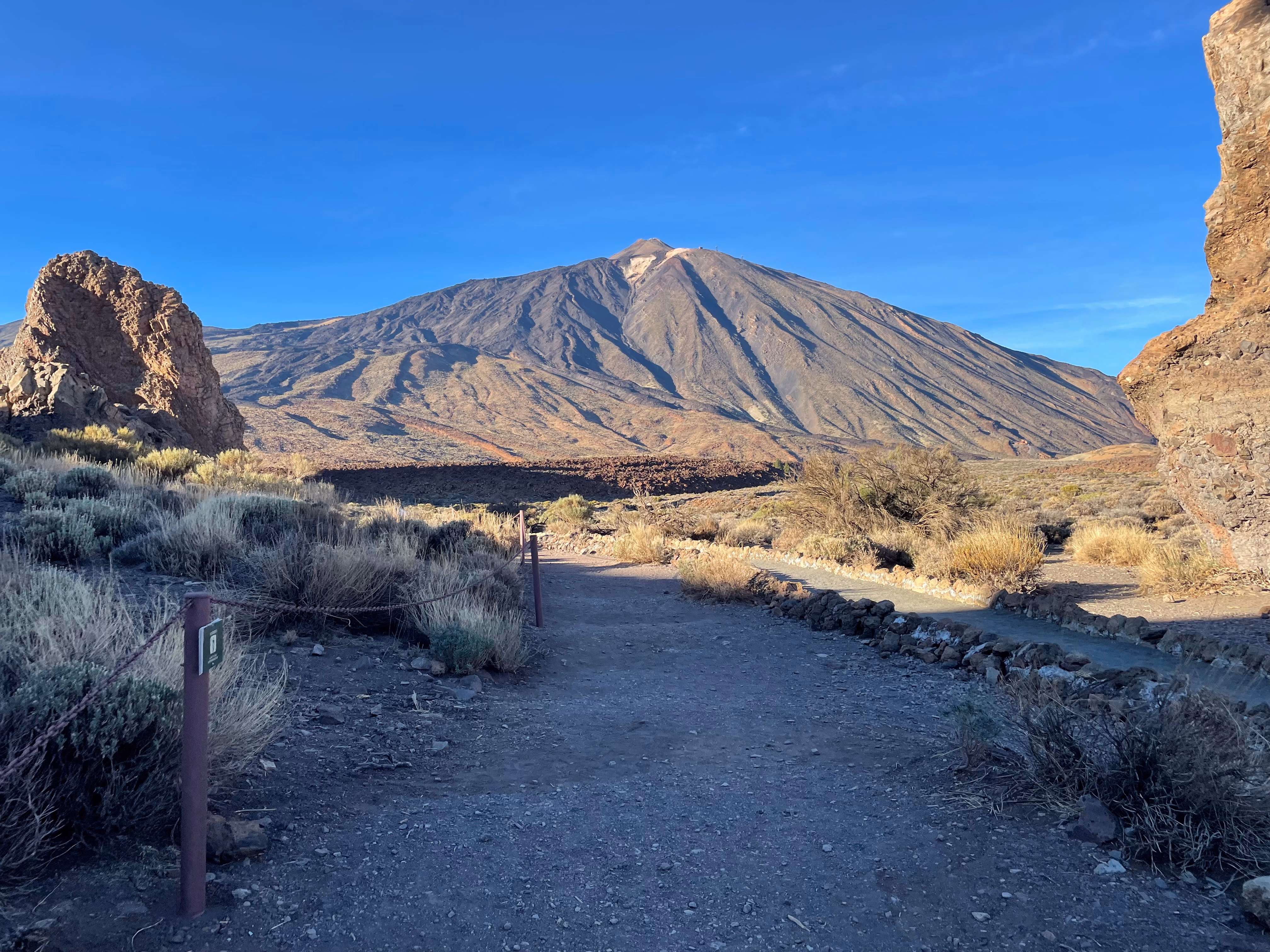 Mount Teide fills the horizon beyond a dirt trail — rope barriers and rock borders, sparse scrub casting long shadows under a cloudless sky.