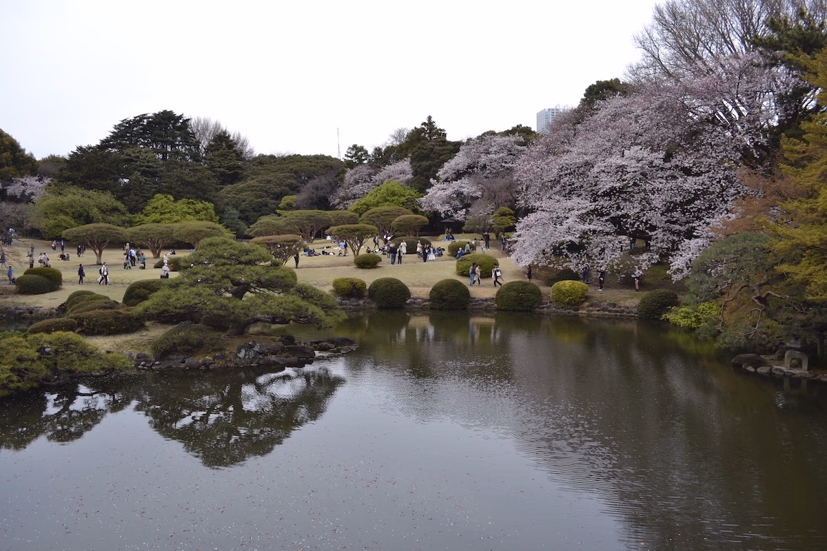Beautiful lake in the middle of a park