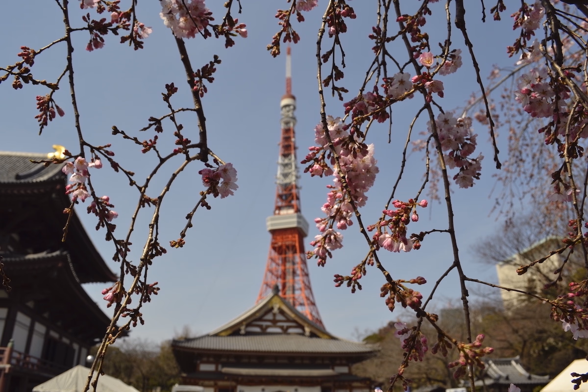 Tokyo Tower