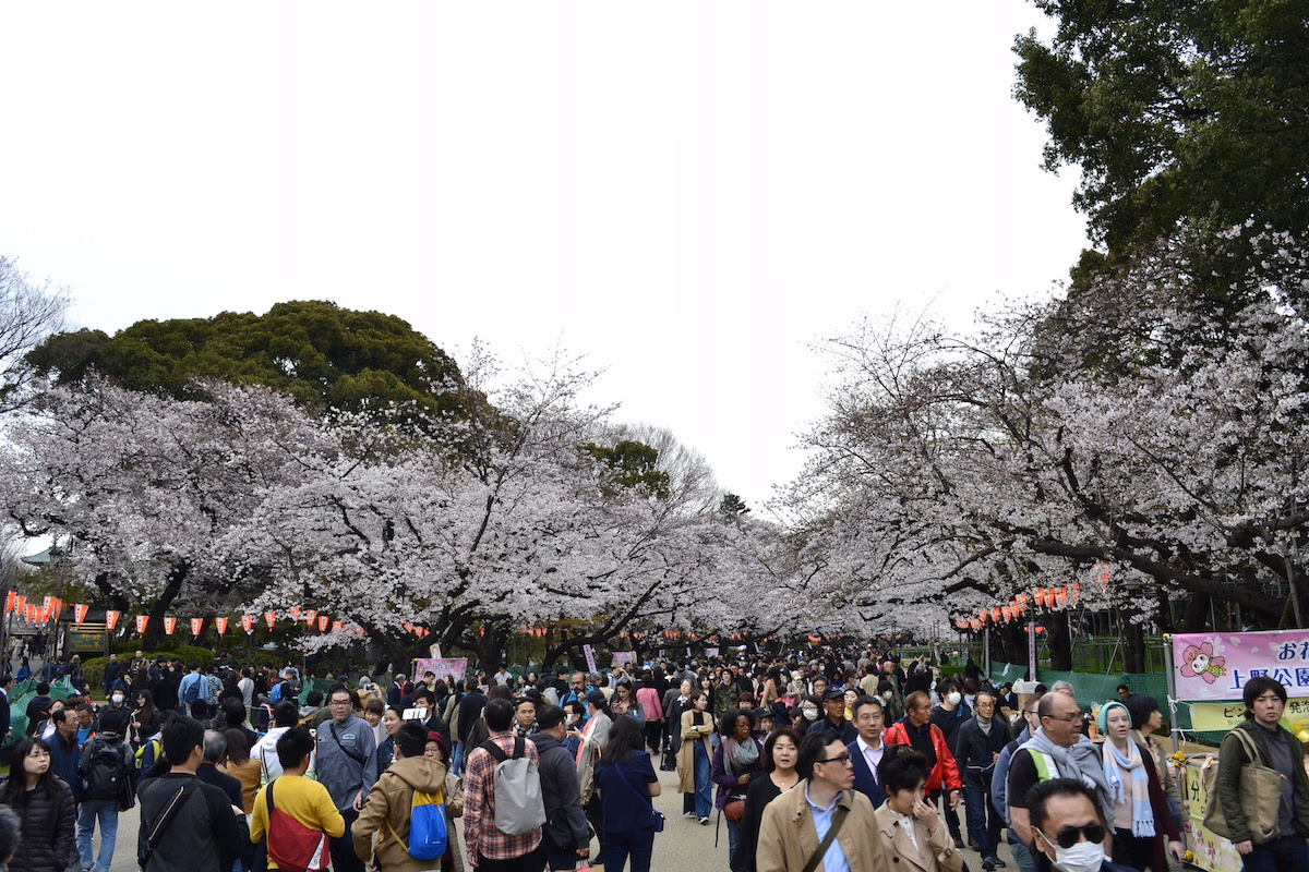 Huge crowds gathered in Ueno Park.