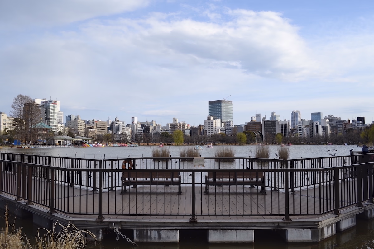 walking path on top of a lake in the middle of Ueno Park