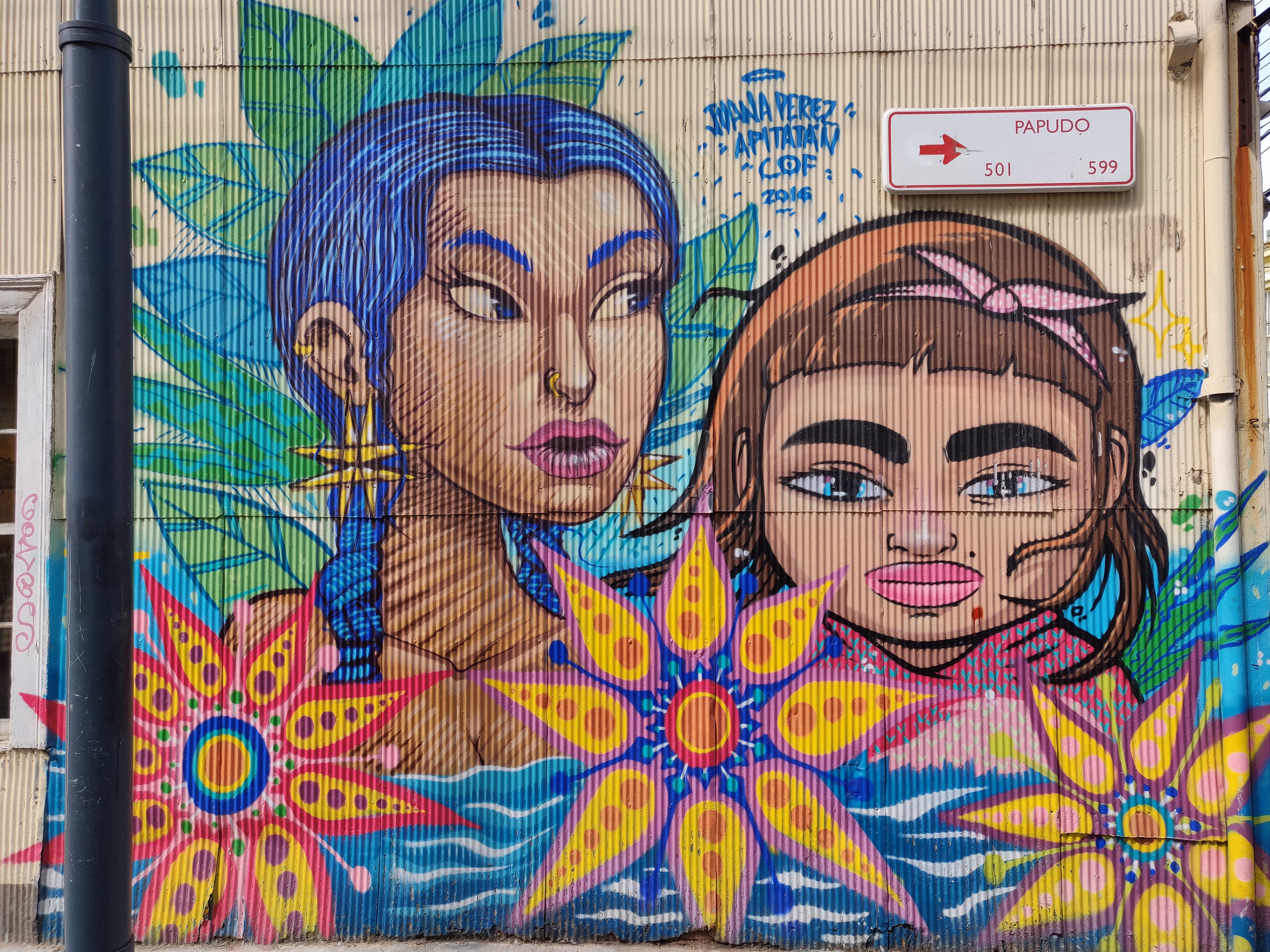 Two stylised women with star earrings and pink lips on corrugated metal — bold flowers and wavy blue water below a Papudo street sign.